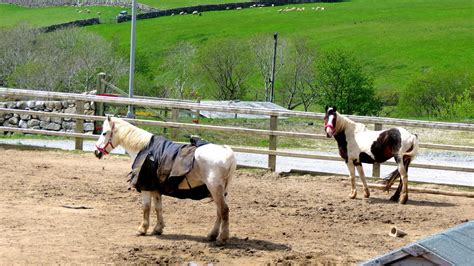 Gamekeepers Lodge Equestrian Centre